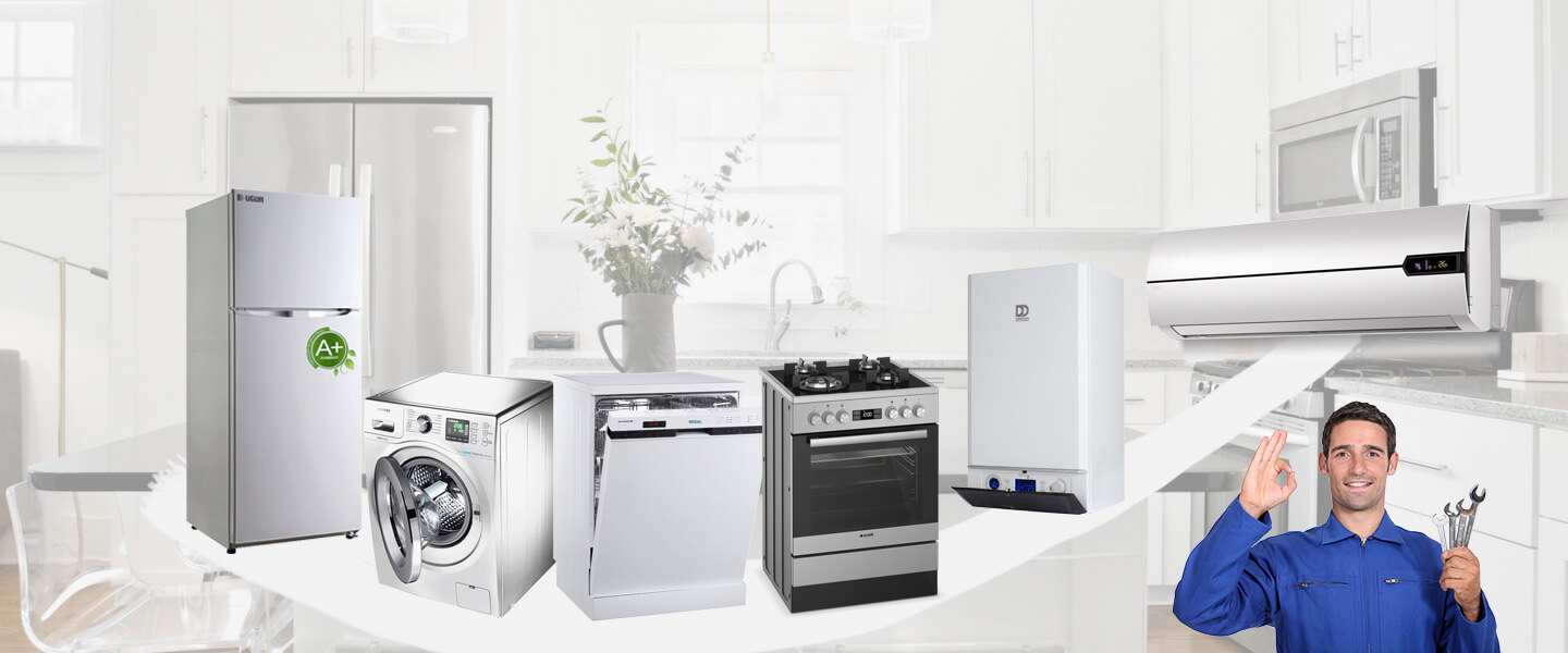 Ağlasun Electrolux Servisi